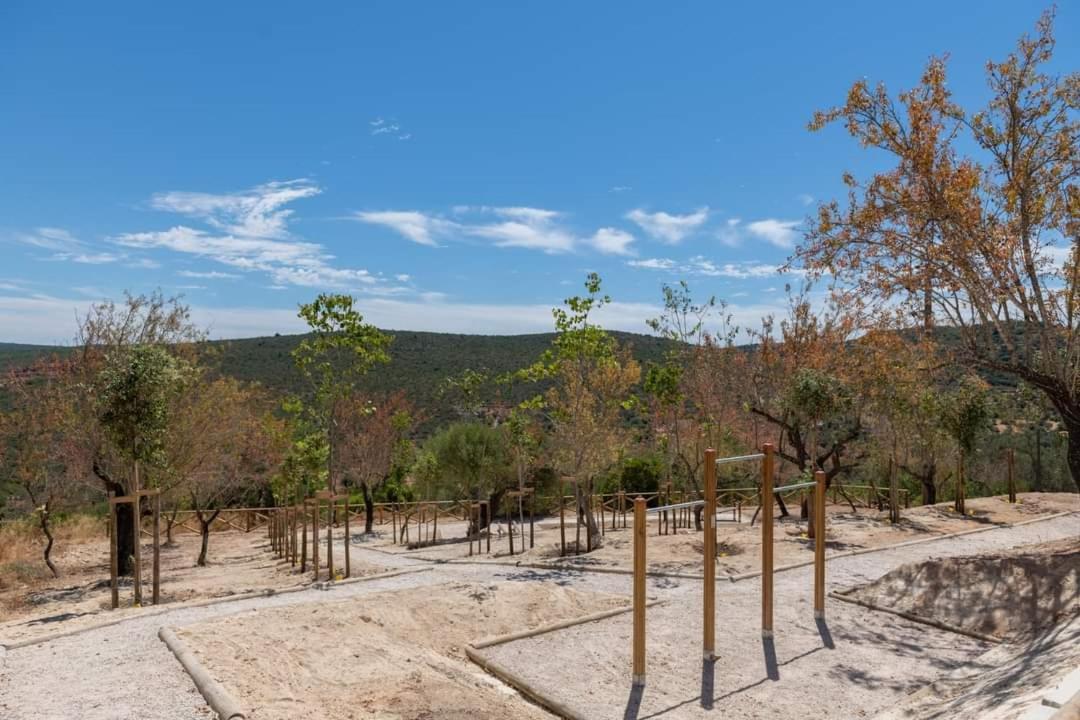 "Oliveiras" Appartement Typique Avec Terrasse Et Piscine Loulé Exterior foto